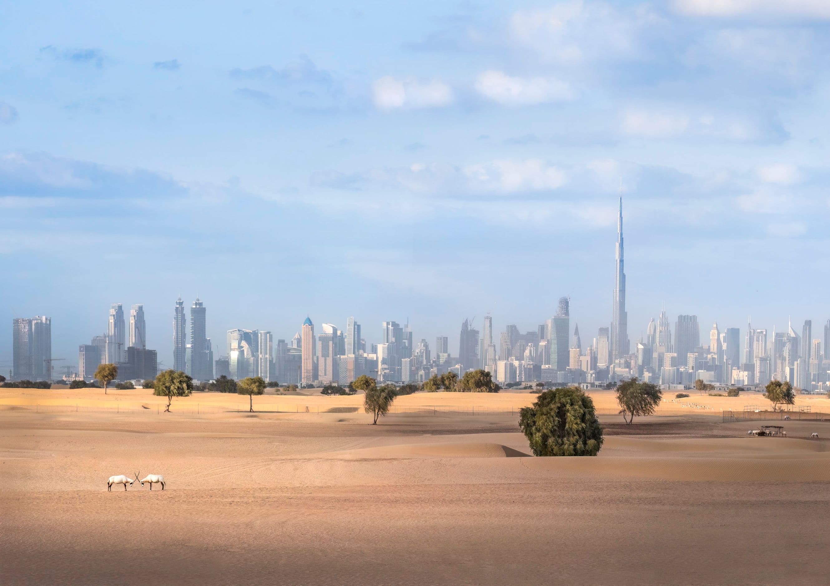 Battery Store service in Arabian Ranches, Dubai